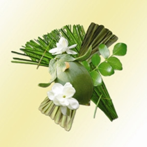 Vetiver-Jasmine-Amyris-Lemongrass Scented Jojoba Vetiver-Jasmine-Amyris-Lemongrass Scented Jojoba