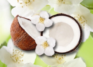 Jasmine Sambac 10% in Fractionated Coconut Jasmine Sambac 10% in Fractionated Coconut