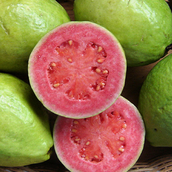 Guava Seed Oil