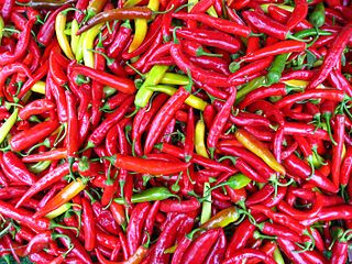 Chili Pepper CO2