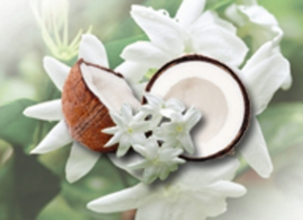 Jasmine Grandiflorum 10% in Fractionated Coconut