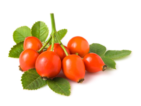 Rose Hip berries 