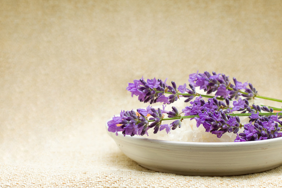 Lavender Essential Oil Appalachian Valley Natural Products