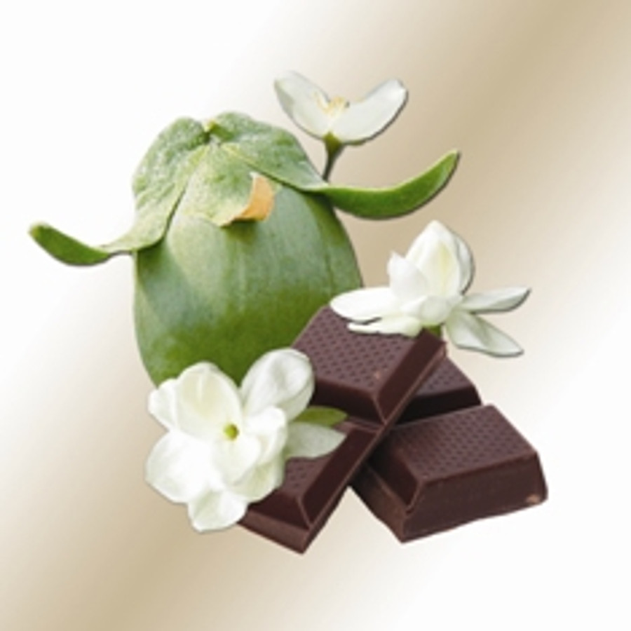 Chocolate - Jasmine Scented Jojoba