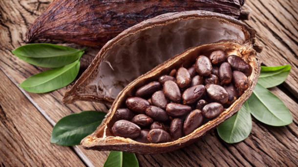 Cocoa Beans