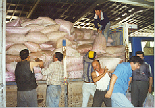 Unloading the Roses Unloading the Roses