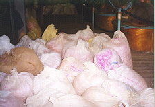 Rose Bales Rose Bales 2