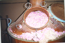 Waiting to be processed Waiting to be processed