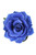 KIM &amp; C Flower Hair Decoration