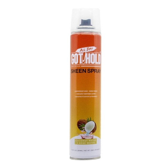 ALL DAY GOT HOLD Sheen Spray