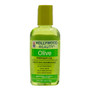 HOLLYWOOD BEAUTY Olive Oil
