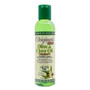 AFRICA'S BEST Originals Olive &amp; Clove Oil Therapy (6oz)