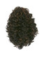 CLIMAX SAVER Draw String Ponytail DS-Hera