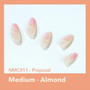 EBIN Mood Too Classy Nail Tips