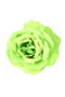 KIM &amp; C Flower Hair Decoration