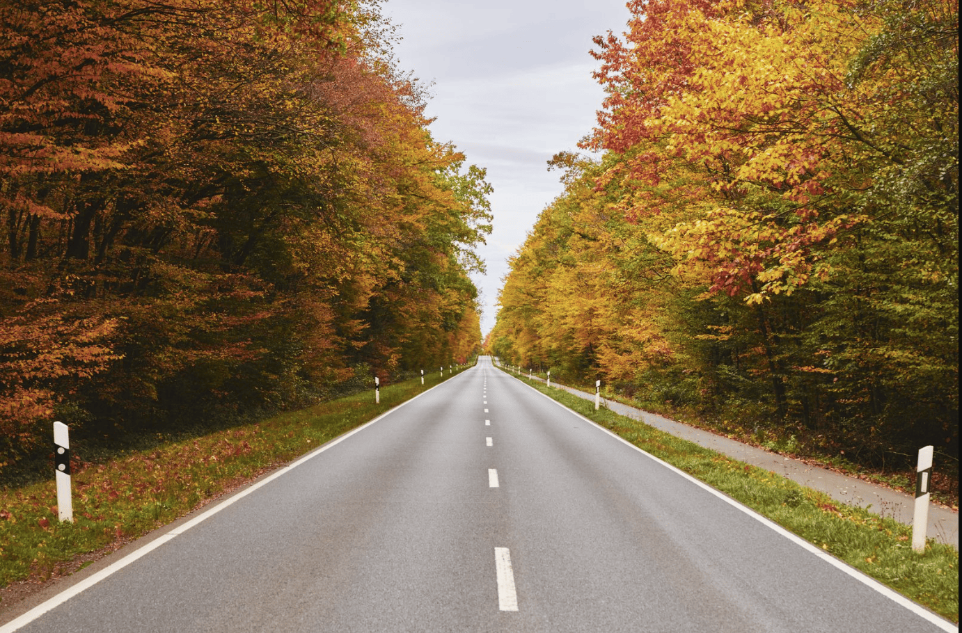 Back to School Driving Safety | Nextbase Dash Cams for Fall Protection