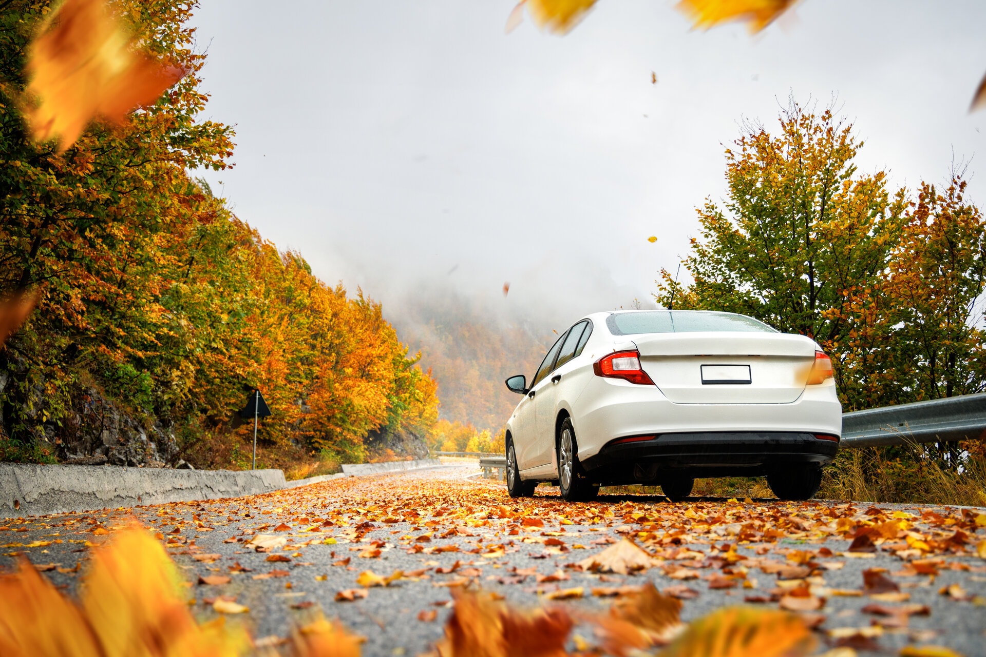 ​Fall Driving Safety Tips