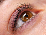 Master the Korean-Inspired Lash Lift with Cysteamine Master the Korean-Inspired Lash Lift with Cysteamine