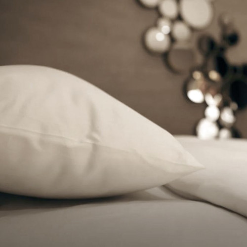 BC Softwear pure linen pillow 100% polyester hollow fibre filling