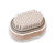Pumice stone brush