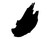 The GelBottle Inc Studio Gel 5ml, Jet Black