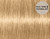 Indola Blonde Expert Highlift 60ml, 100.0 natural
