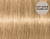 Indola Blonde Expert Highlift 60ml, 100.28 pearl chocolate