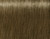 Indola PPC Fashion permanent hair colour 60ml, 8.18 light blonde ash chocolate
