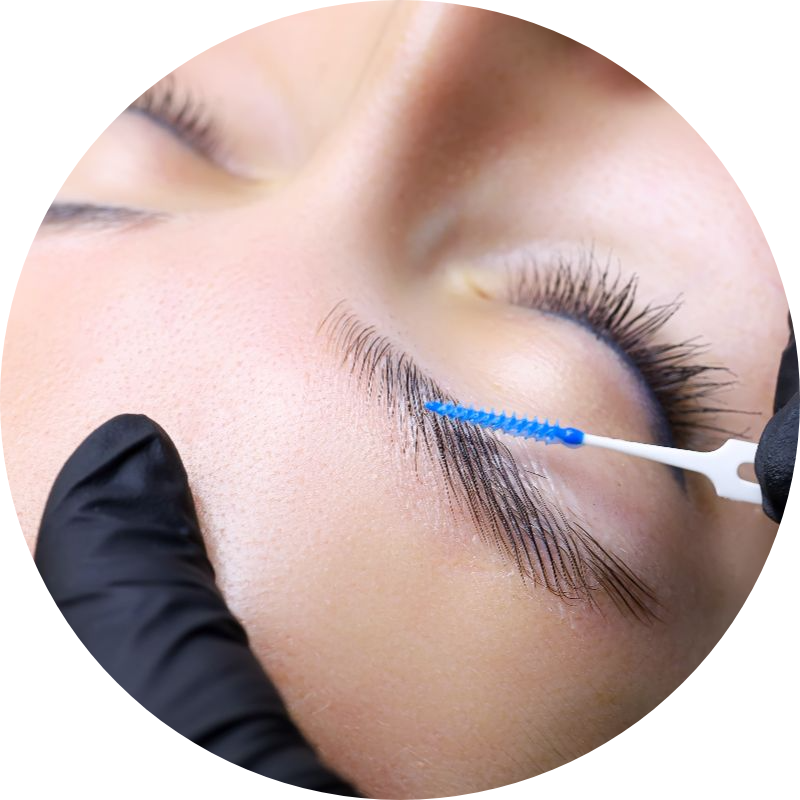 Lashes and brows