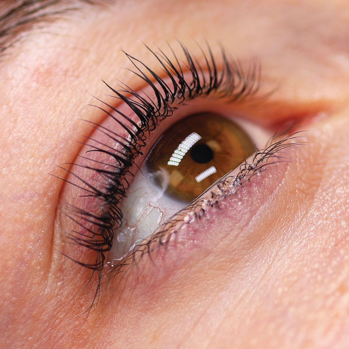 Korean inspired workshop