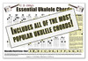 Essential Ukulele Chords - Glossy Color 12x18 Poster - Designed & Printed in the USA!