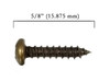 100pc. #6 x 5/8" Antique Brass-plated Phillips Round-Head Screws