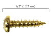 100pc. #6 x 1/2" Brass-plated Round-head Phillips Screws