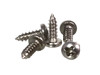 100pc. #2 x 1/4" Stainless Steel Phillips Round-Head Screw