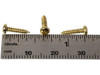 1000pc. #2 x 3/8ths-inch Brass-plated Phillips Round Head Screws