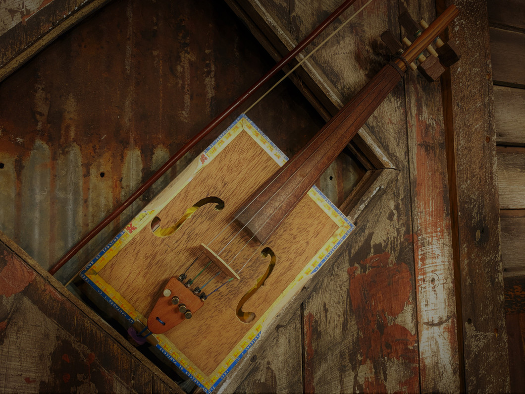 Book Review of "Fiddle Fever" by Sharon Arms Doucet - a cajun boy and his cigar box fiddle