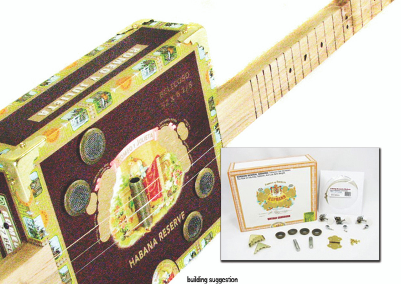 The G-Bass 2-string DIY Electric Bass Guitar Kit - C. B. Gitty Crafter  Supply