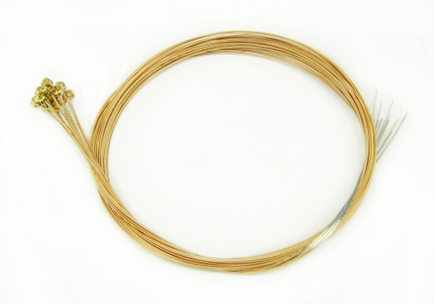 22-gauge (.022") Phosphor Bronze Wound Guitar Strings (12-pack)