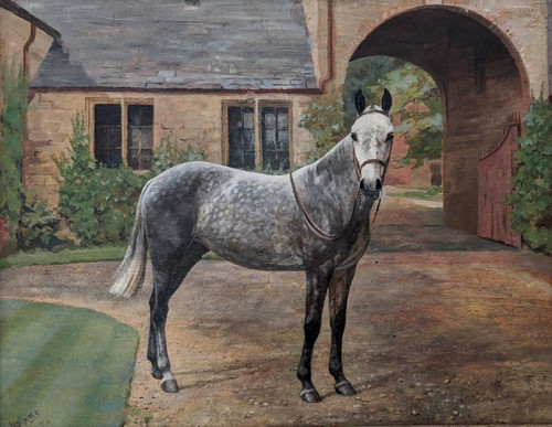 'A Dapple Grey Hunter in a Yard' - oil on board, by Frances Mabel Hollams