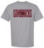 Gamecocks Comfort Color T Shirt
