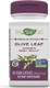 Nature's Way Premium Extract Olive Leaf Supplement