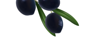 icon grapes