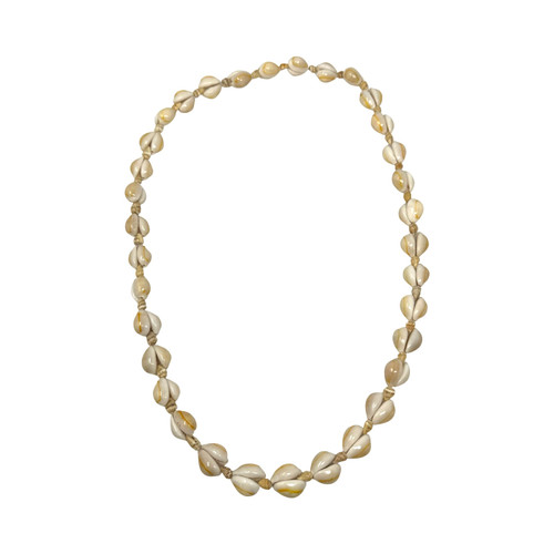 Glossy Seashell Necklace-Thumbnail