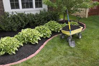 2 Cubic Ft Bag Black Dye Mulch