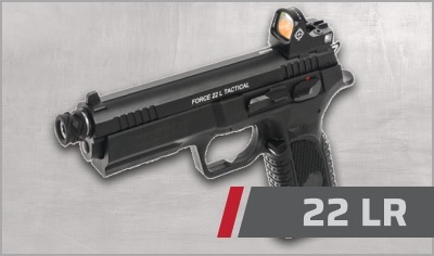 22 LR