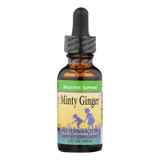 Herbs For Kids Minty Ginger - 1 Fl Oz