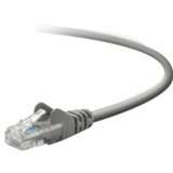 Belkin CAT5e Patch Cable - ETS955447