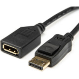 Rocstor Premium 6 ft DisplayPort Video Extension Cable - M/F - DisplayPort Male Video - DisplayPort Female Video - Black - Display Port Video Extension Cable