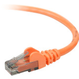 Belkin Cat. 6 UTP Patch Cable - ETS1925859