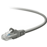 Belkin Cat5e Network Cable - ETS141596